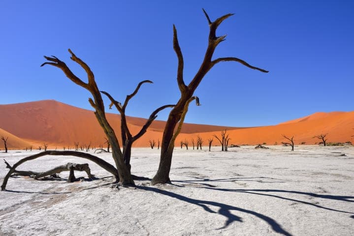 Sossusvlei & Deadvlei Tour thumbnail
